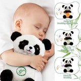 Panda Breathing Bear